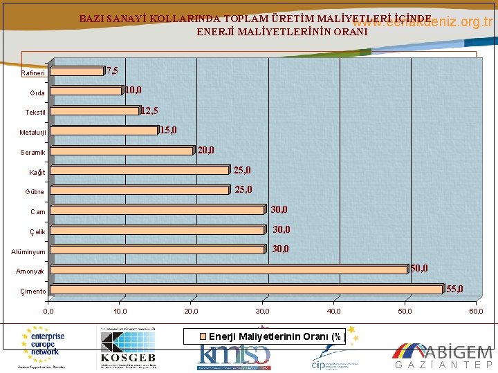 BAZI SANAYİ KOLLARINDA TOPLAM ÜRETİM MALİYETLERİ İÇİNDE www. eenakdeniz. org. tr ENERJİ MALİYETLERİNİN ORANI