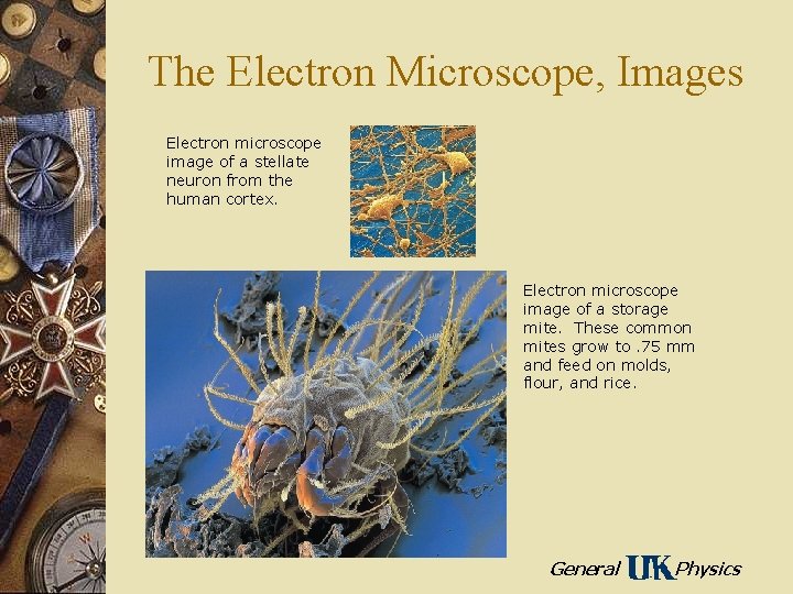 The Electron Microscope, Images Electron microscope image of a stellate neuron from the human