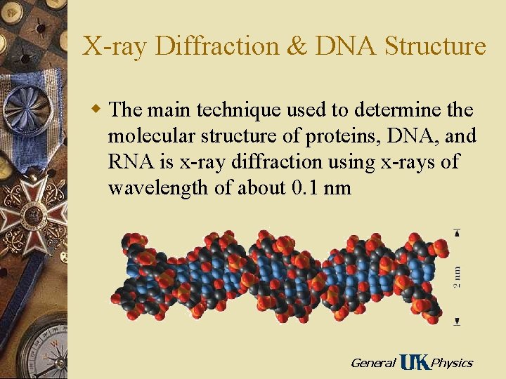 X-ray Diffraction & DNA Structure w The main technique used to determine the molecular