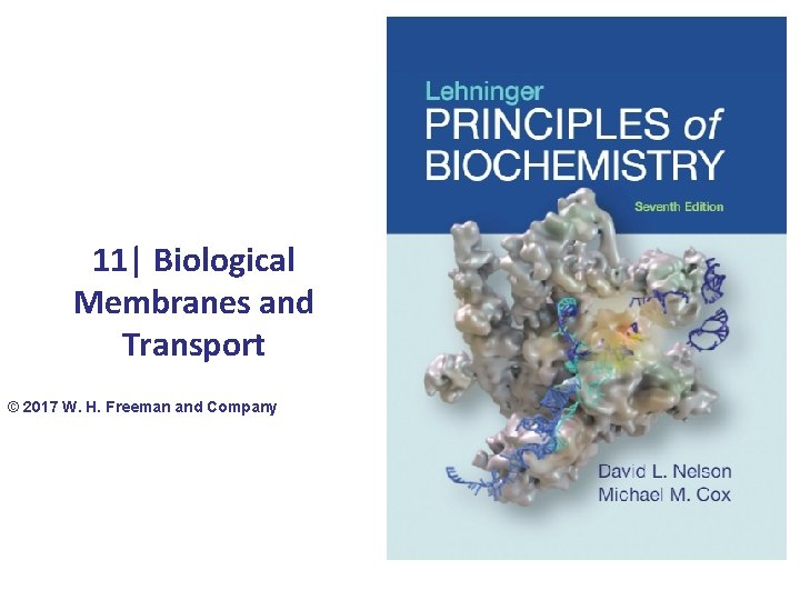 11| Biological Membranes and Transport © 2017 W. H. Freeman and Company 