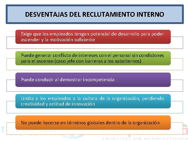 DESVENTAJAS DEL RECLUTAMIENTO INTERNO Exige que los empleados tengan potencial de desarrollo para poder