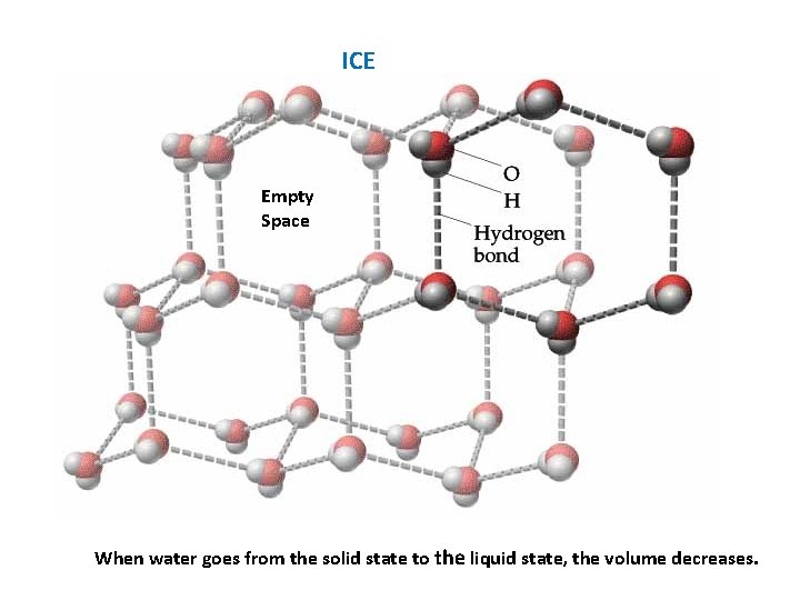 ICE Empty Space When water goes from the solid state to the liquid state,