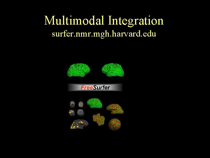 Multimodal Integration surfer. nmr. mgh. harvard. edu 