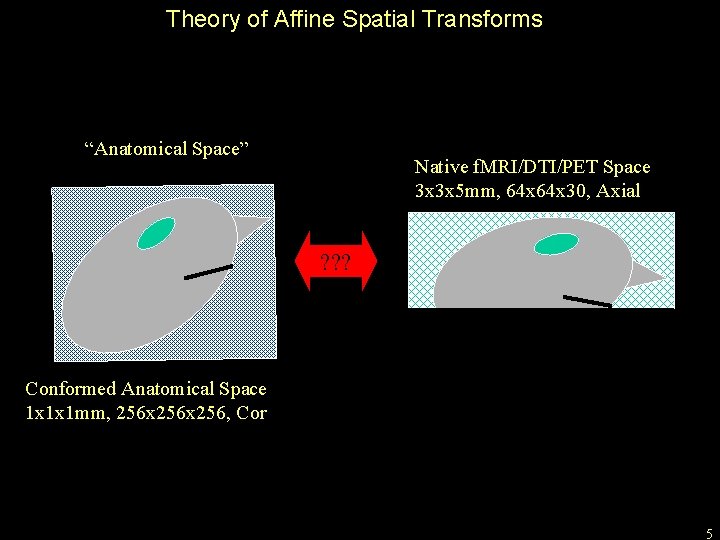 Theory of Affine Spatial Transforms “Anatomical Space” Native f. MRI/DTI/PET Space 3 x 3
