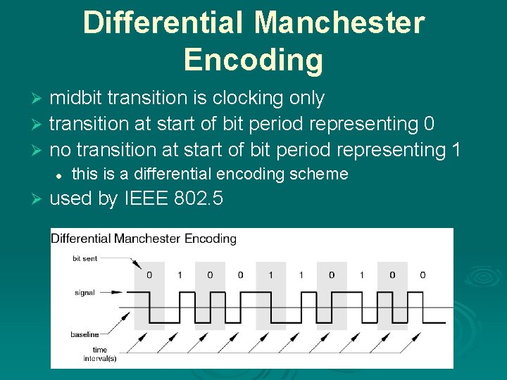 Differential Manchester Encoding midbit transition is clocking only Ø transition at start of bit