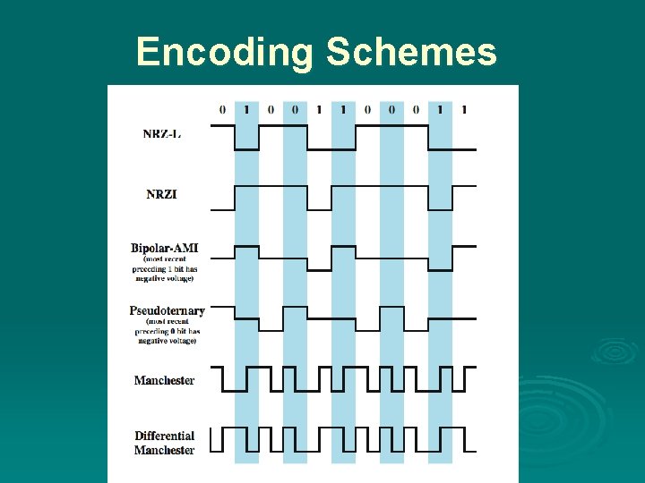 Encoding Schemes 