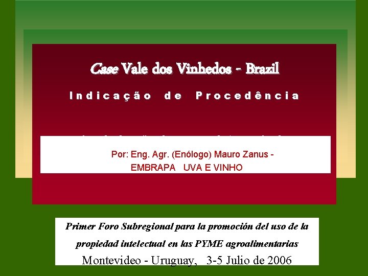 Case Vale dos Vinhedos - Brazil Indicação de Procedência A valorização de um produto