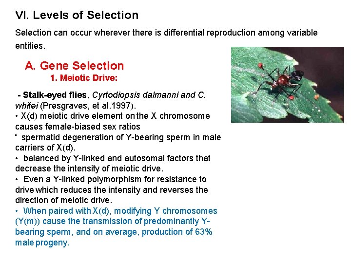 VI. Levels of Selection can occur wherever there is differential reproduction among variable entities. VI. Levels of Selection can occur wherever there is differential reproduction among variable entities.