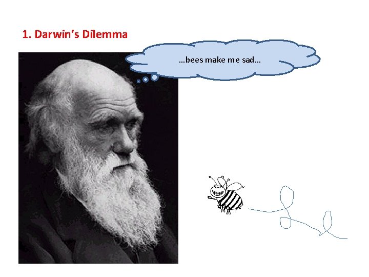 1. Darwin’s Dilemma …bees make me sad… 