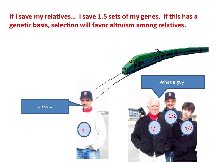 If I save my relatives… I save 1. 5 sets of my genes. If