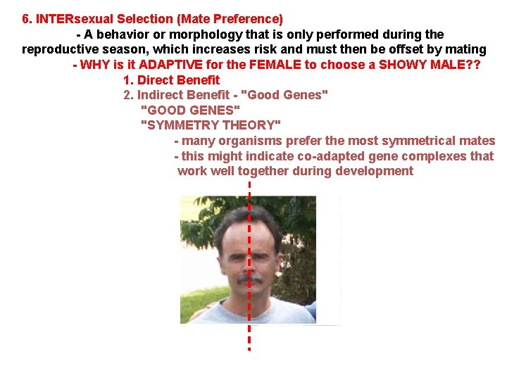 6. INTERsexual Selection (Mate Preference) - A behavior or morphology that is only performed