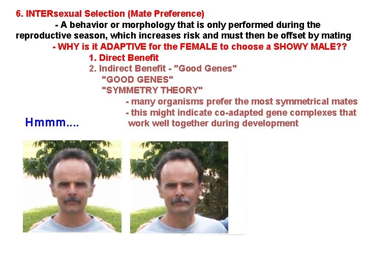 6. INTERsexual Selection (Mate Preference) - A behavior or morphology that is only performed