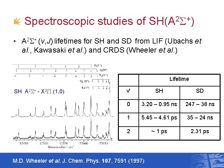 Spectroscopic studies of SH(A 2 S+) • A 2 S+ (v, J) lifetimes for