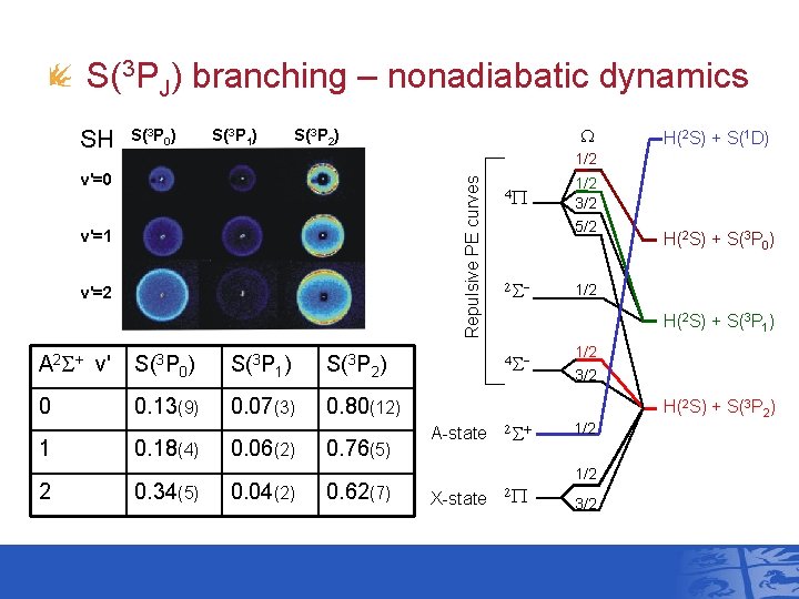S(3 PJ) branching – nonadiabatic dynamics S(3 P 0) S(3 P 1) SH(A, v’=1)