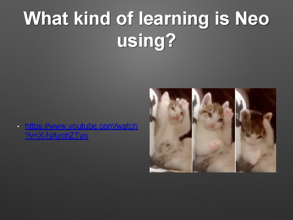 What kind of learning is Neo using? • https: //www. youtube. com/watch ? v=X-NAych.