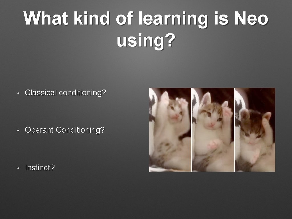 What kind of learning is Neo using? • Classical conditioning? • Operant Conditioning? • What kind of learning is Neo using? • Classical conditioning? • Operant Conditioning? •