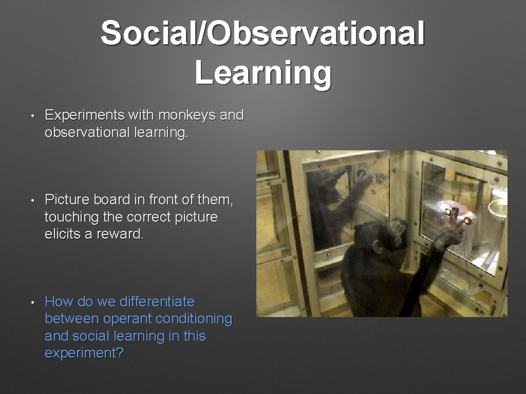 Social/Observational Learning • Experiments with monkeys and observational learning. • Picture board in front