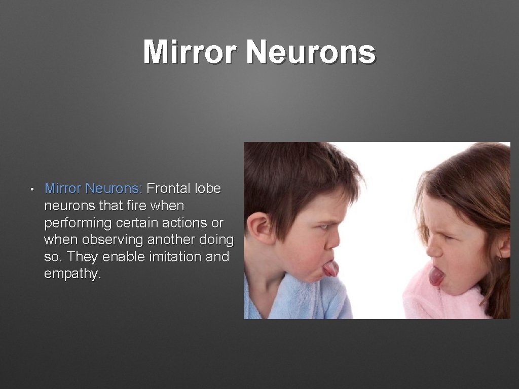 Mirror Neurons • Mirror Neurons: Frontal lobe neurons that fire when performing certain actions