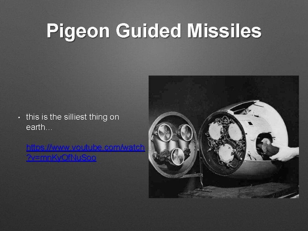 Pigeon Guided Missiles • this is the silliest thing on earth… https: //www. youtube.