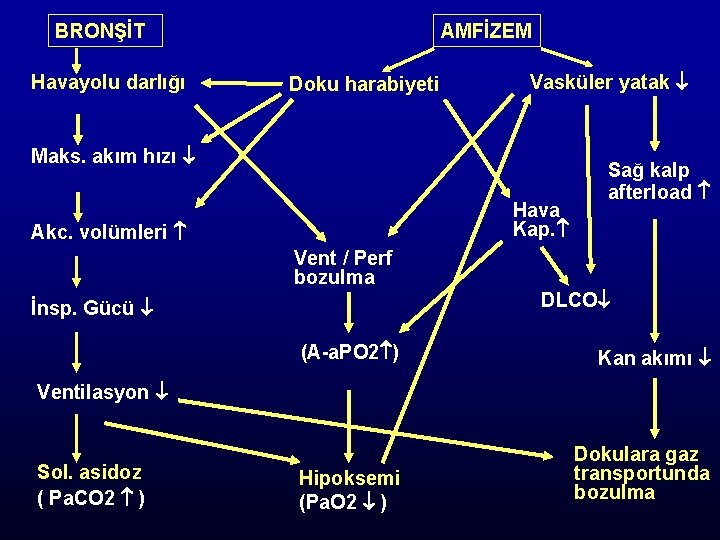 BRONŞİT Havayolu darlığı AMFİZEM Doku harabiyeti Vasküler yatak Maks. akım hızı Hava Kap. Akc.