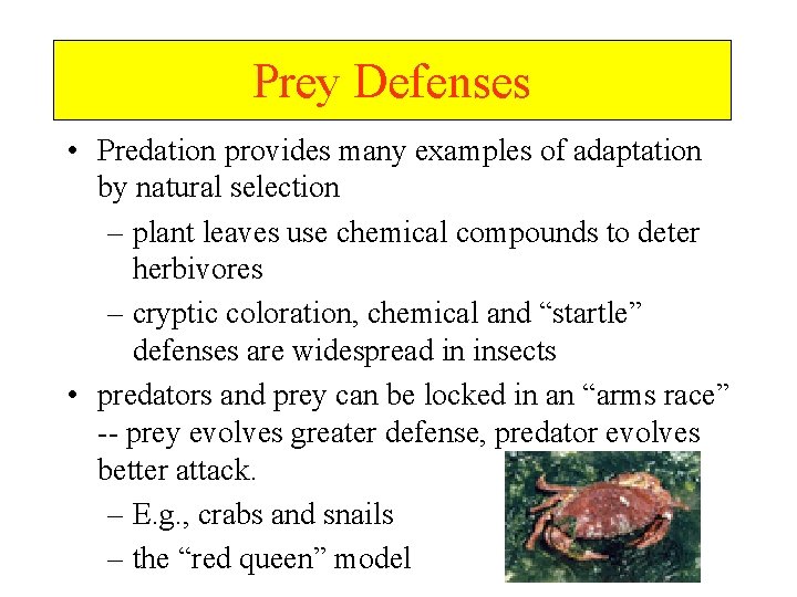 Prey Defenses • Predation provides many examples of adaptation by natural selection – plant