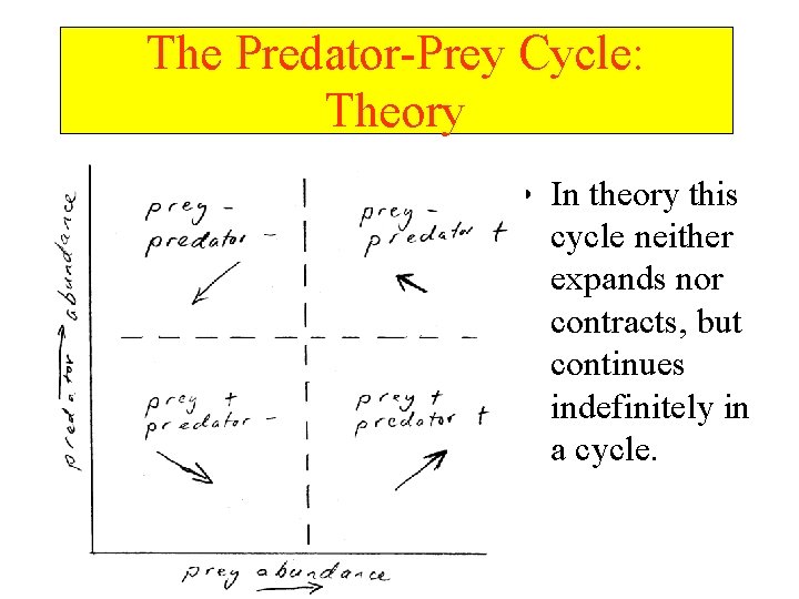 The Predator-Prey Cycle: Theory • In theory this cycle neither expands nor contracts, but