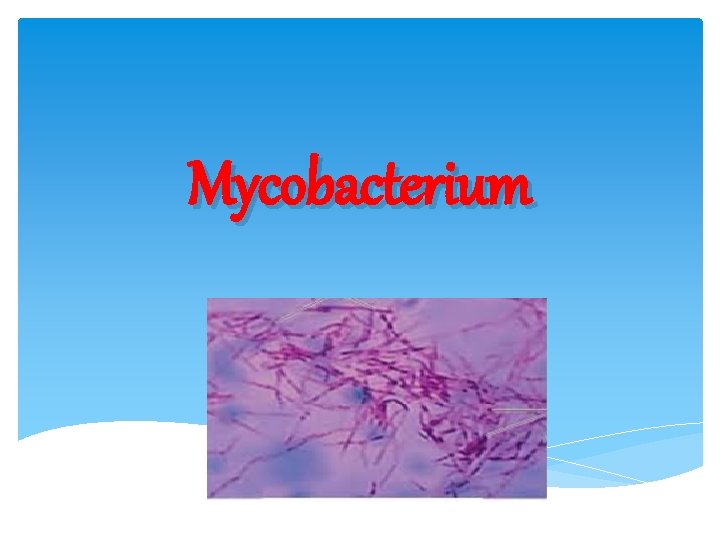 Mycobacterium 