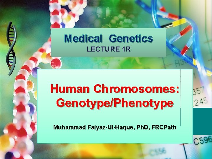 Medical Genetics LECTURE 1 R Human Chromosomes: Genotype/Phenotype Muhammad Faiyaz-Ul-Haque, Ph. D, FRCPath Medical Genetics LECTURE 1 R Human Chromosomes: Genotype/Phenotype Muhammad Faiyaz-Ul-Haque, Ph. D, FRCPath