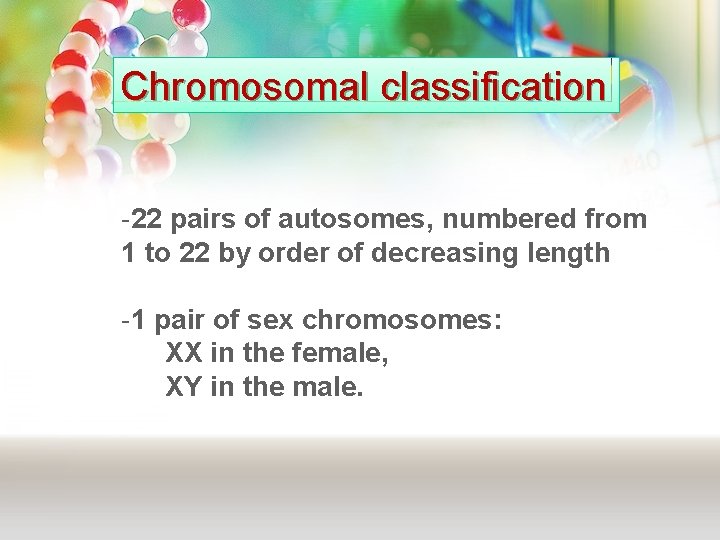Chromosomal classification -22 pairs of autosomes, numbered from 1 to 22 by order of Chromosomal classification -22 pairs of autosomes, numbered from 1 to 22 by order of