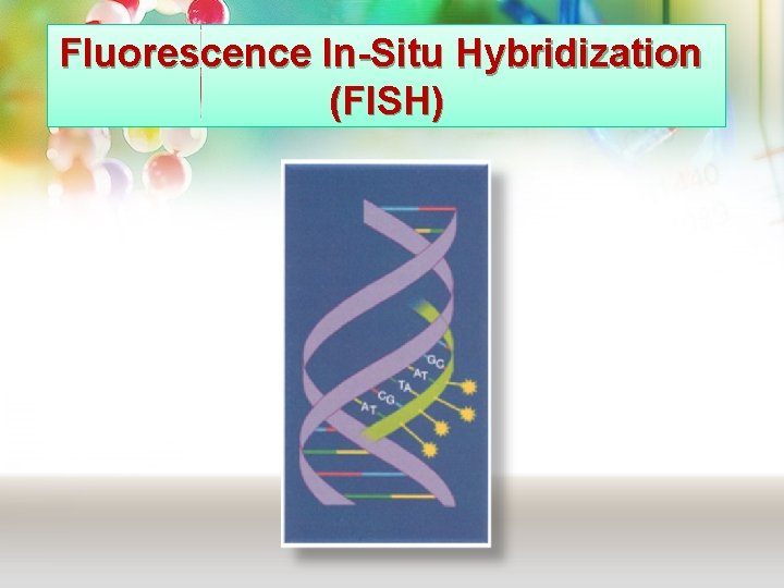 Fluorescence In-Situ Hybridization (FISH) Fluorescence In-Situ Hybridization (FISH)