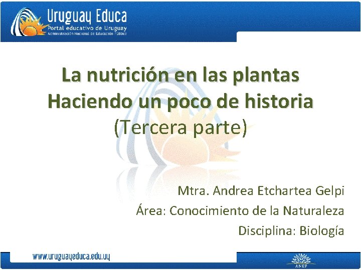 La nutrición en las plantas Haciendo un poco de historia (Tercera parte) Mtra. Andrea