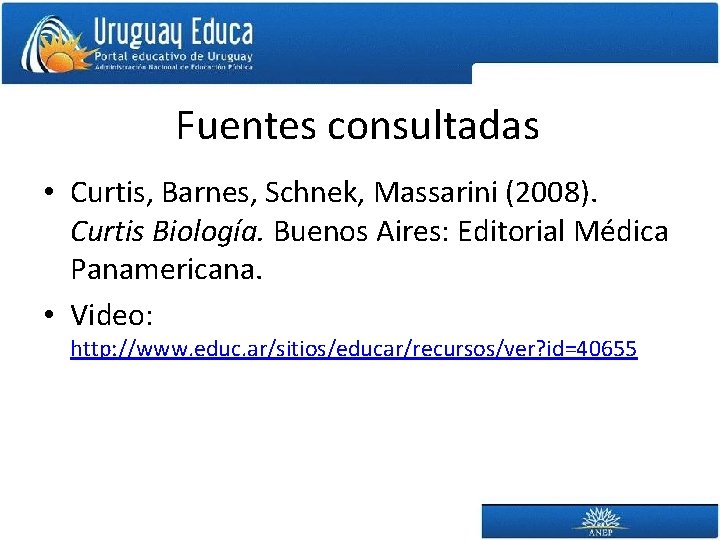 Fuentes consultadas • Curtis, Barnes, Schnek, Massarini (2008). Curtis Biología. Buenos Aires: Editorial Médica