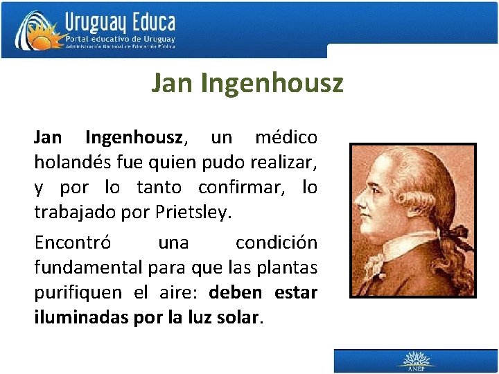 Jan Ingenhousz, un médico holandés fue quien pudo realizar, y por lo tanto confirmar,