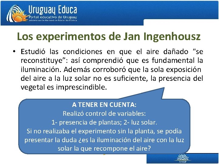 Los experimentos de Jan Ingenhousz • Estudió las condiciones en que el aire dañado