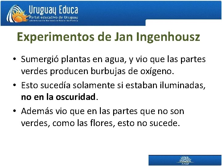 Experimentos de Jan Ingenhousz • Sumergió plantas en agua, y vio que las partes