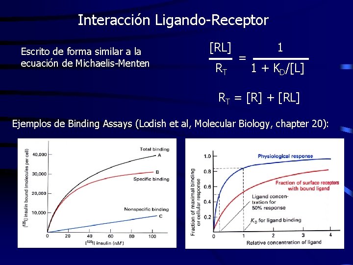 Interacción Ligando-Receptor Escrito de forma similar a la ecuación de Michaelis-Menten [RL] RT =