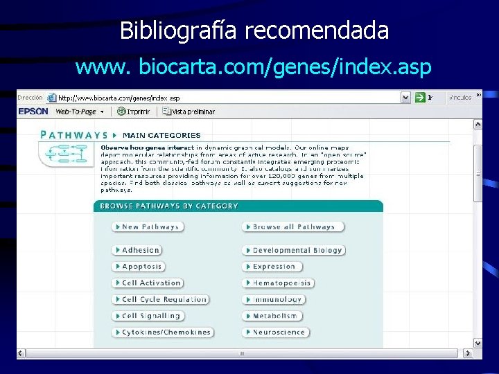 Bibliografía recomendada www. biocarta. com/genes/index. asp 