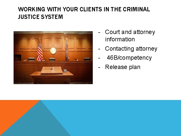 WORKING WITH YOUR CLIENTS IN THE CRIMINAL JUSTICE SYSTEM - Court and attorney information