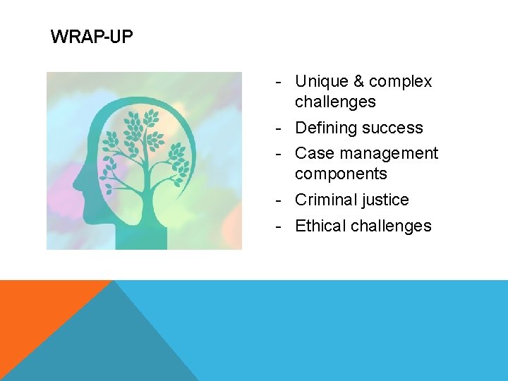 WRAP-UP - Unique & complex challenges - Defining success - Case management components -