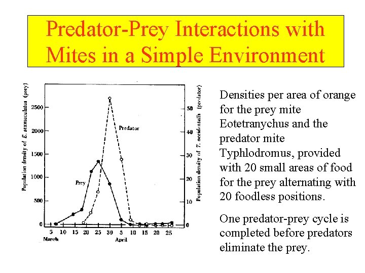 Predator-Prey Interactions with Mites in a Simple Environment Densities per area of orange for