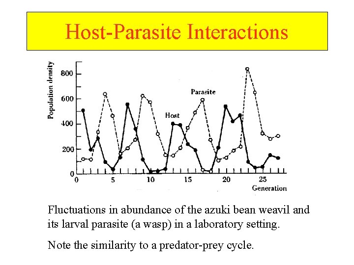 Host-Parasite Interactions Fluctuations in abundance of the azuki bean weavil and its larval parasite