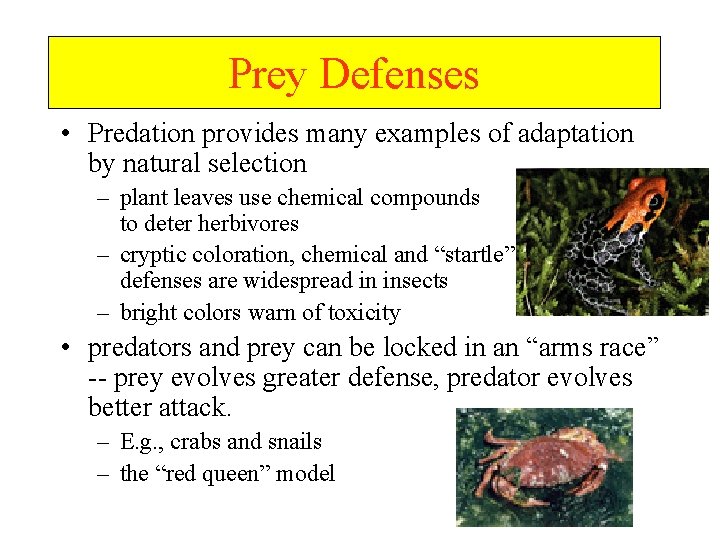 Prey Defenses • Predation provides many examples of adaptation by natural selection – plant