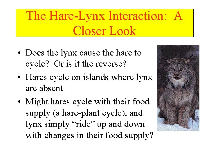 The Hare-Lynx Interaction: A Closer Look • Does the lynx cause the hare to