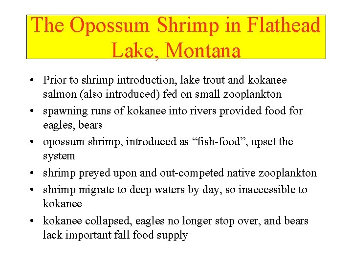 The Opossum Shrimp in Flathead Lake, Montana • Prior to shrimp introduction, lake trout