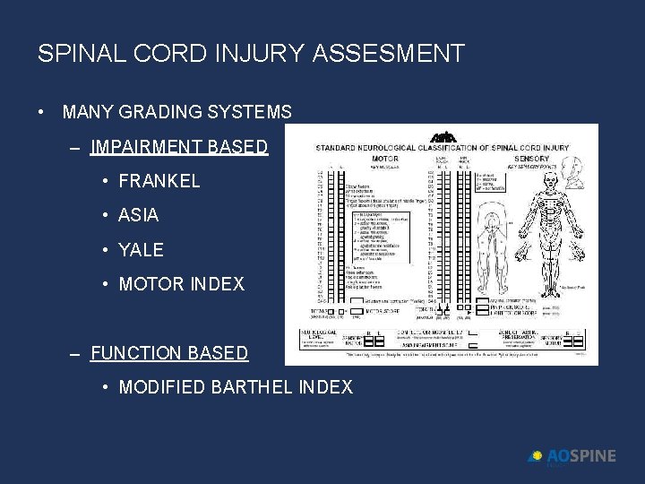 SPINAL CORD INJURY ASSESMENT • MANY GRADING SYSTEMS – IMPAIRMENT BASED • FRANKEL •