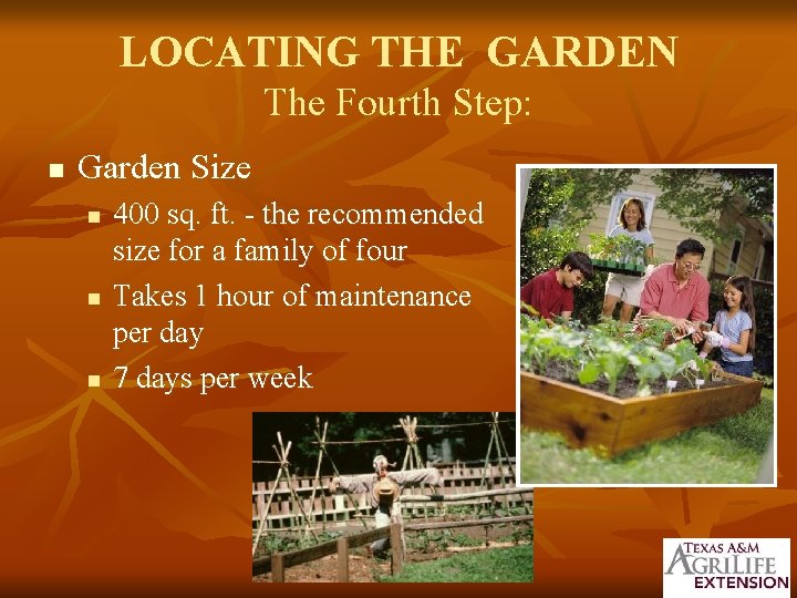 LOCATING THE GARDEN The Fourth Step: n Garden Size n n n 400 sq.