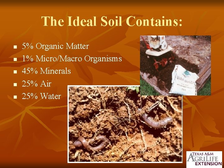 The Ideal Soil Contains: n n n 5% Organic Matter 1% Micro/Macro Organisms 45%