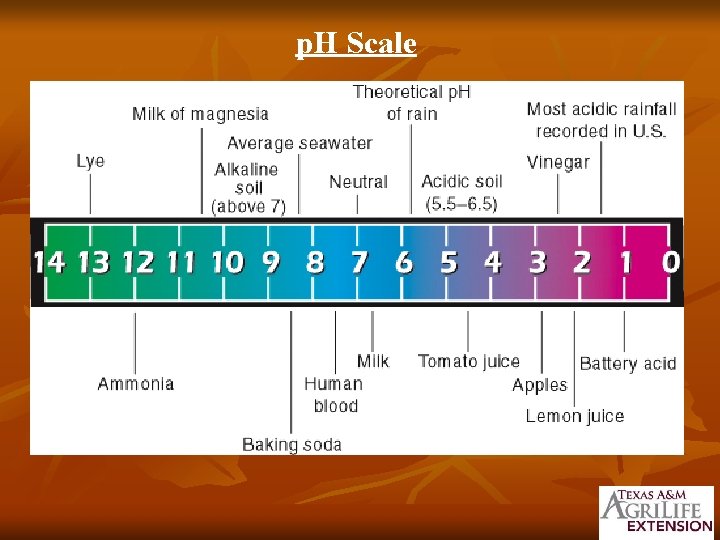 p. H Scale 