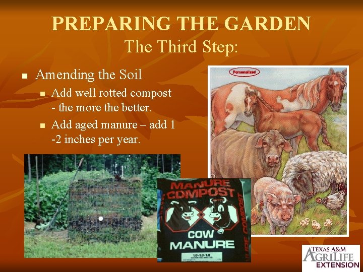 PREPARING THE GARDEN The Third Step: n Amending the Soil n n Add well