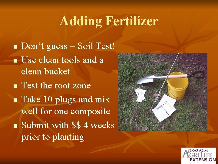 Adding Fertilizer n n n Don’t guess – Soil Test! Use clean tools and